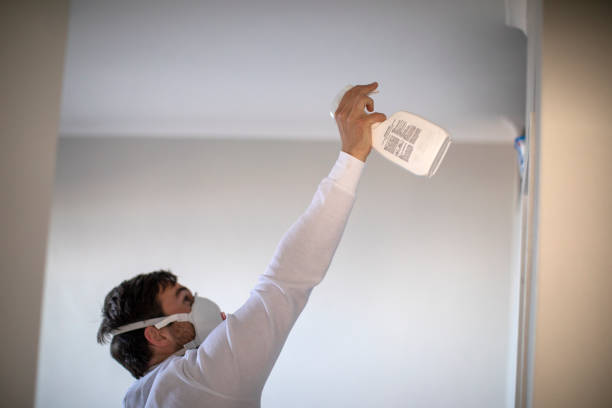Best Certified Mold Removal  in Wilburton, OK