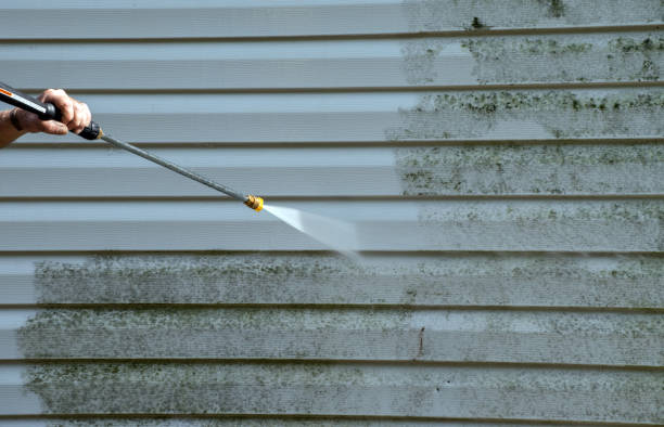 Office Mold Removal Services in Wilburton, OK