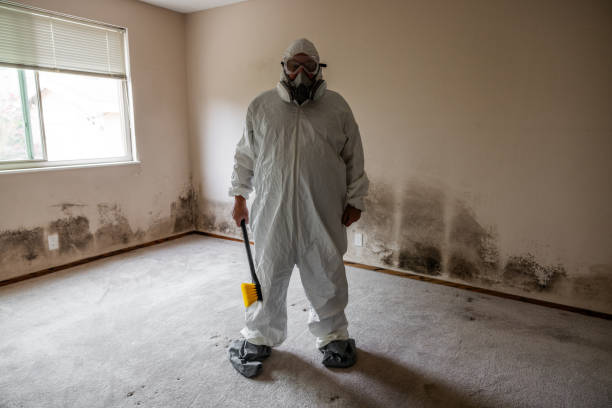 Best Black Mold Removal  in Wilburton, OK