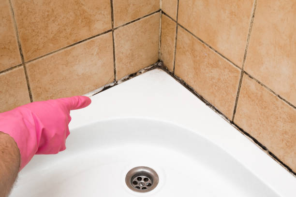 Best Mold Testing  in Wilburton, OK